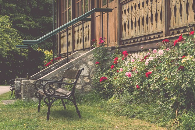 老年太极丹首局都会给人一种错觉林丹原来也没那么难打